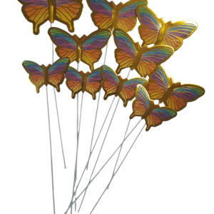 Pillangós szett színes